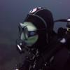 Picture taken during the dive