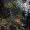 Picture taken during the dive
