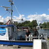 Picture taken during the dive