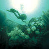 Picture taken during the dive