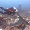 Picture taken during the dive