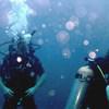 Picture taken during the dive