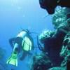 Picture taken during the dive