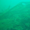 Picture taken during the dive