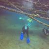 Picture taken during the dive