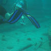 Picture taken during the dive