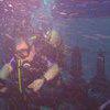 Picture taken during the dive