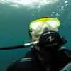 Picture taken during the dive