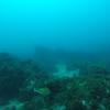 Picture taken during the dive