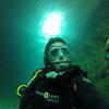 Picture taken during the dive