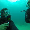 Picture taken during the dive