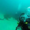 Picture taken during the dive