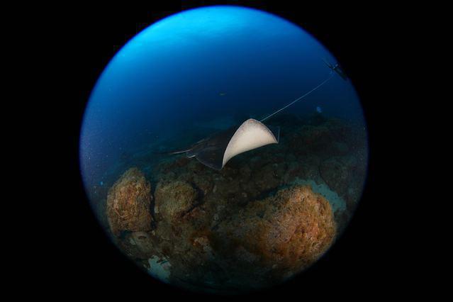 CORAL SUB - Dive Center in Spain