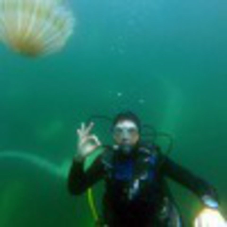 user picture