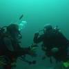 Picture taken during the dive