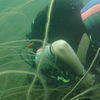 Picture taken during the dive