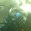 Picture taken during the dive
