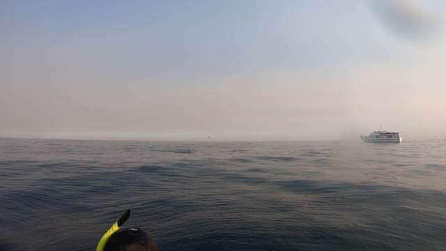 Diving in États-Unis, Monterey, CA - By Sebastien