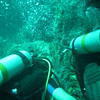 Picture taken during the dive