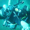 Picture taken during the dive