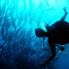 Picture taken during the dive
