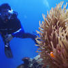 Picture taken during the dive