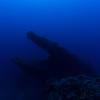 Picture taken during the dive