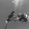 Picture taken during the dive