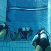Picture taken during the dive
