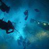 Picture taken during the dive
