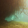 Picture taken during the dive