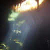 Picture taken during the dive