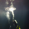 Picture taken during the dive