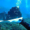 Picture taken during the dive