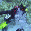 Picture taken during the dive