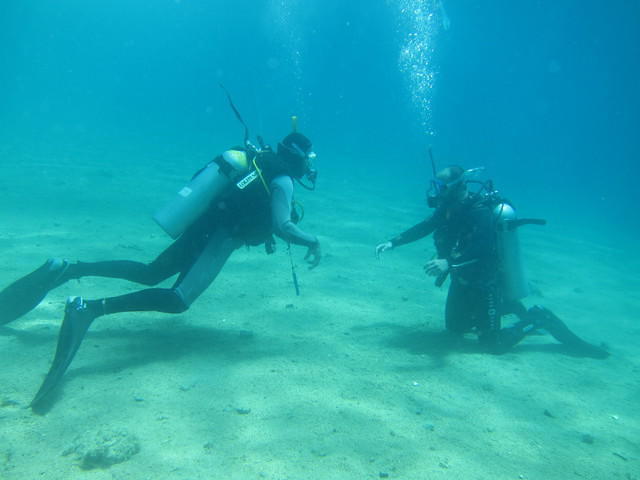 Penguin Divers - Dive Center in Egypt