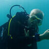 Picture taken during the dive