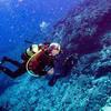 Picture taken during the dive