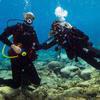 Picture taken during the dive