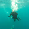 Picture taken during the dive