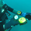 Picture taken during the dive