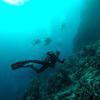 Picture taken during the dive