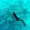 Picture taken during the dive