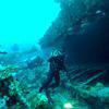 Picture taken during the dive