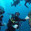 Picture taken during the dive