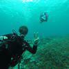 Picture taken during the dive