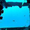 Picture taken during the dive