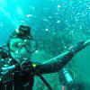 Picture taken during the dive