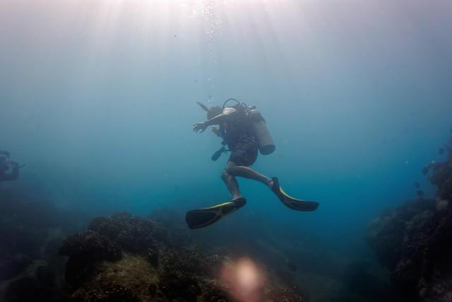 Diving in Mexico, San José del Cabo - By Francisco Con