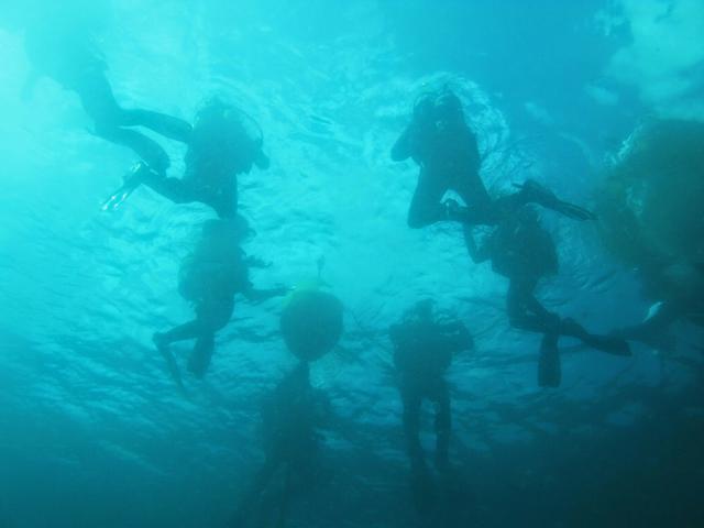 Mega Dive - Dive Center in Portugal